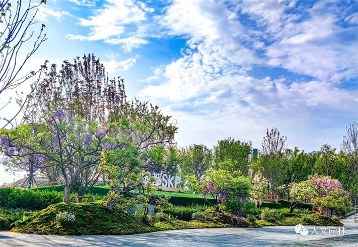 人文花展|成都SKP發(fā)來感謝信：高超造景技術帶來圓滿呈現(xiàn)，期待未來繼續(xù)精誠合作