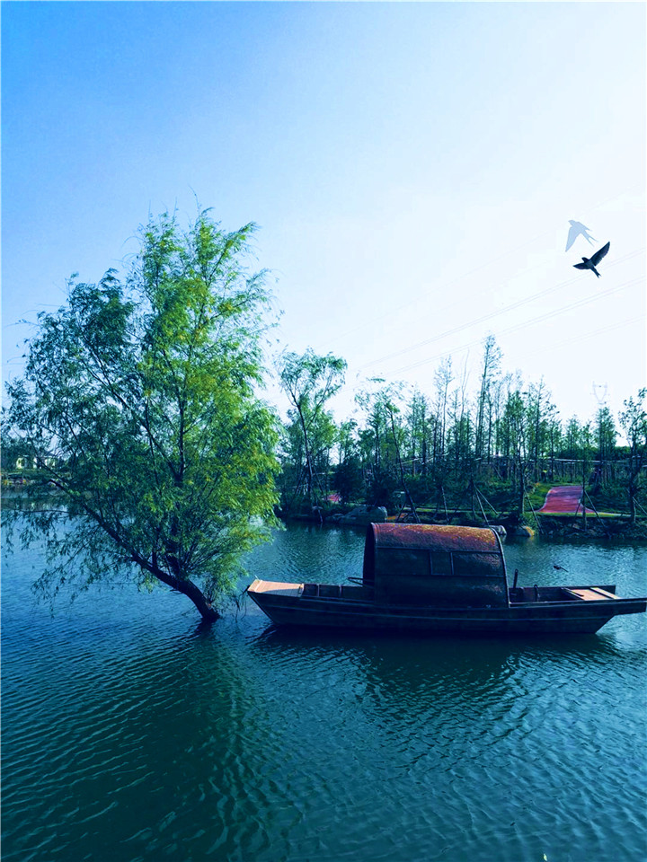 周海軍  沉舟側畔4.jpg