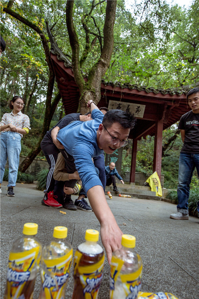 1541747106736359D570.jpg 9.jpg